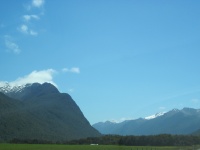 IMG_1704.jpg