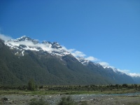 IMG_1711.jpg