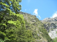 IMG_1724.jpg