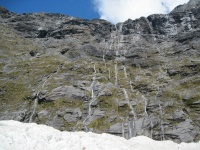 IMG_1733.jpg
