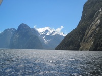 IMG_1767.jpg