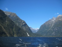 IMG_1775.jpg