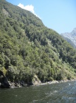 IMG_1776.jpg