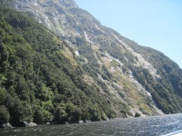 IMG_1786.jpg