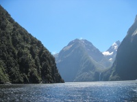 IMG_1794.jpg