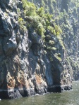 IMG_1800.jpg