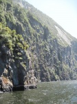 IMG_1801.jpg