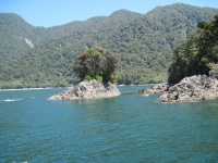 IMG_1832.jpg