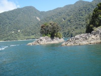 IMG_1833.jpg