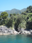 IMG_1834.jpg