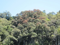 IMG_1838.jpg