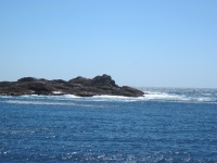 IMG_1839.jpg