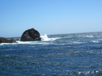 IMG_1841.jpg