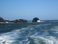 IMG_1844.jpg