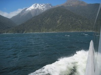 IMG_1849.jpg
