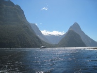 IMG_1904.jpg