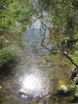 IMG_1908.jpg