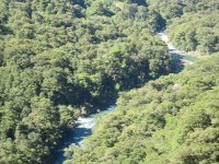 IMG_1938.jpg