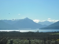 IMG_1949.jpg