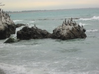 IMG_1650.jpg