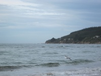 IMG_1668.jpg