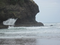 IMG_1424.jpg