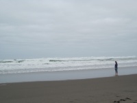 IMG_1429.jpg