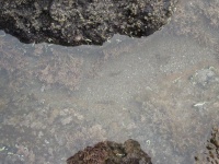 IMG_1433.jpg