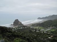 IMG_1459.jpg