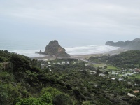 IMG_1460.jpg