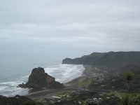 IMG_1464.jpg