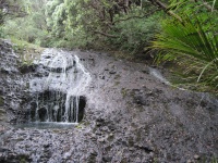 IMG_1470.jpg