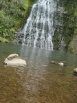 IMG_1482.jpg