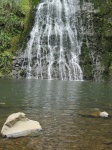 IMG_1483.jpg