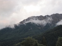 IMG_1684.jpg