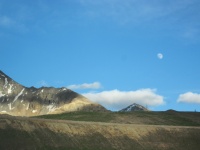 IMG_0463.JPG