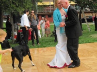 IMG_2355.jpg