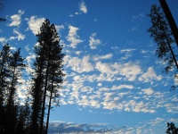 IMG_2375.jpg