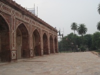 IMG_2767.jpg