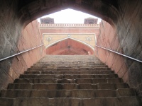 IMG_2769.jpg