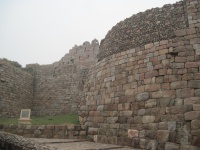 IMG_2805.jpg