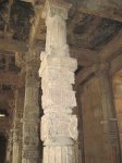 IMG_2864.jpg