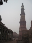 IMG_2874.jpg