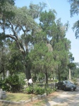 IMG_3705.jpg