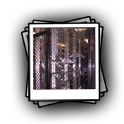 Napster-cage