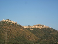 IMG_3165.jpg