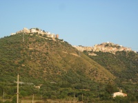 IMG_3166.jpg