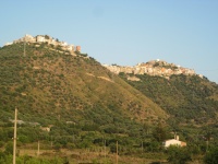 IMG_3168.jpg