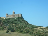 IMG_3217.jpg