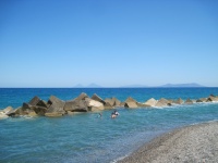 IMG_3263.jpg